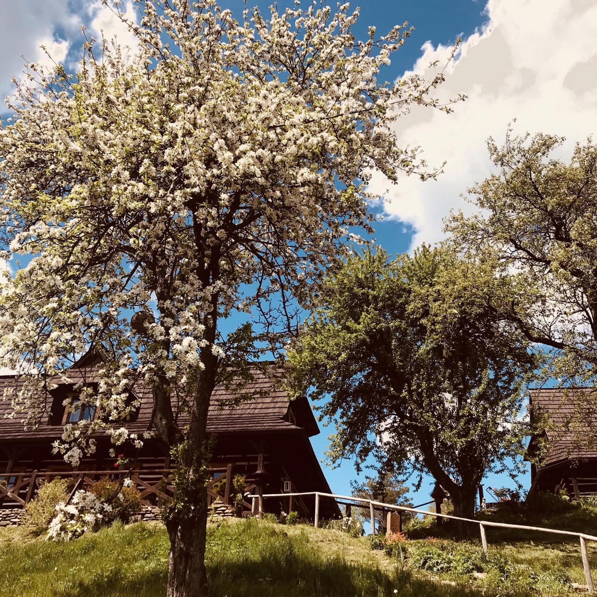 Maciejewka Villa Zahoczewie Luaran gambar