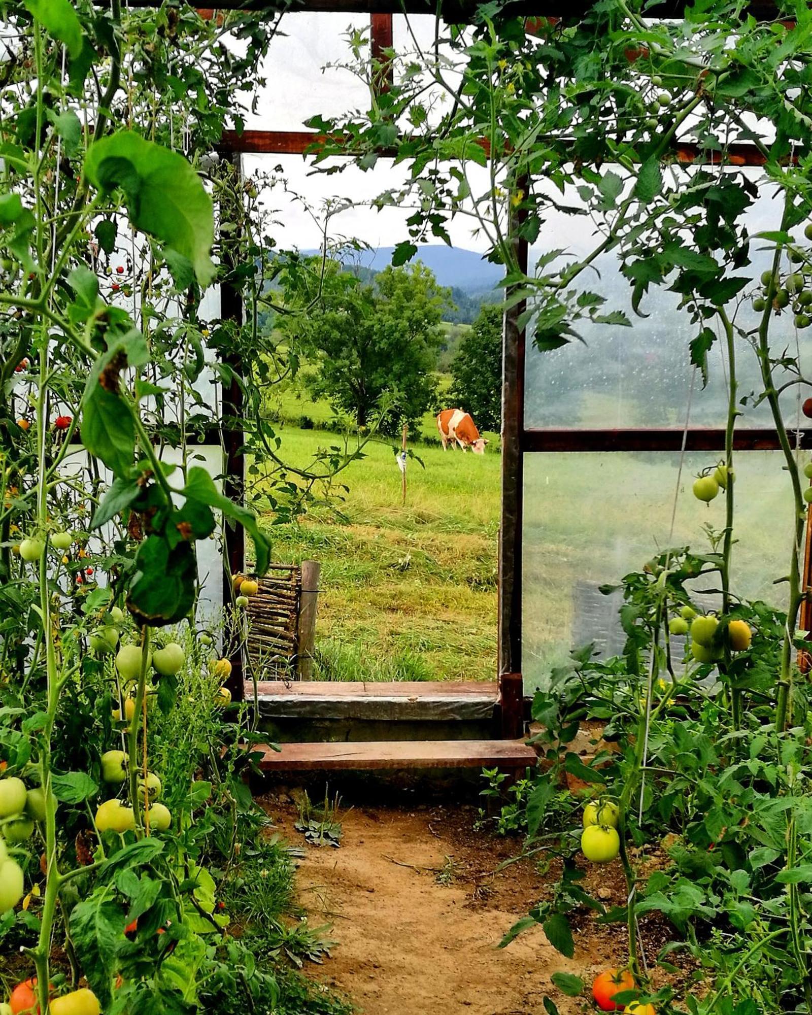 Maciejewka Villa Zahoczewie Luaran gambar