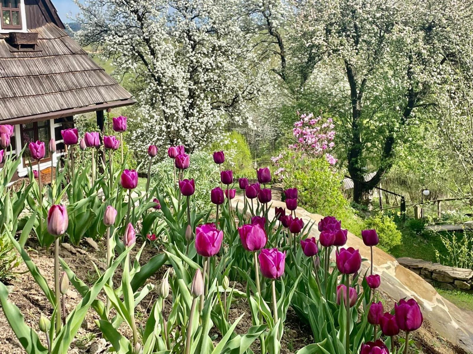 Maciejewka Villa Zahoczewie Luaran gambar